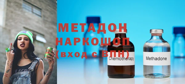 шишки Ельня