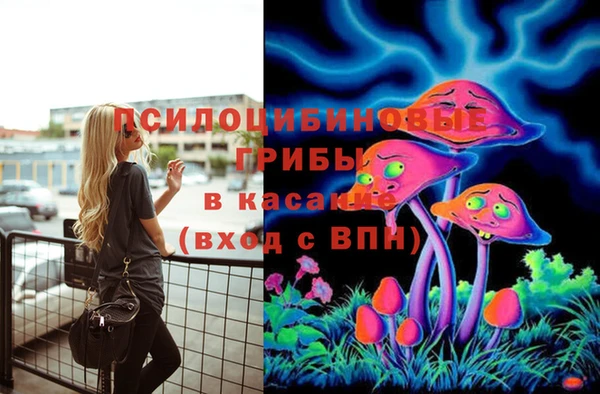 гидропоника Абдулино