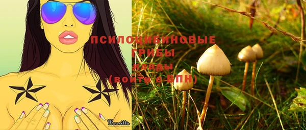 МДПВ Елабуга