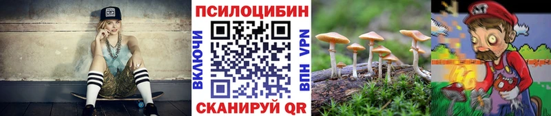 МЕГА как зайти  Мещовск  Галлюциногенные грибы ЛСД 
