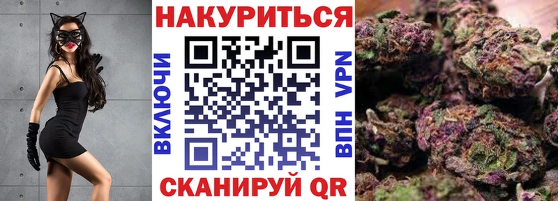 закладка  Мещовск  omg tor  Бошки марихуана OG Kush 